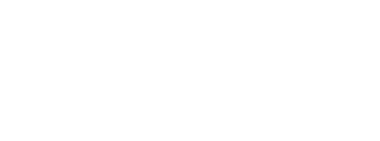 Norse Group